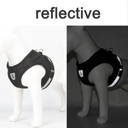 Reflective Escape-Proof Cat & Small Dog Harness Set