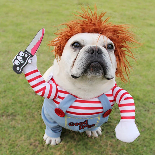Funny Halloween Dog Costume Set for Medium & Large Dogs