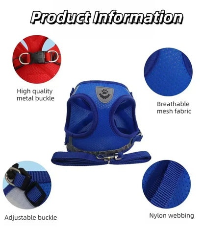 Reflective Escape-Proof Cat & Small Dog Harness Set