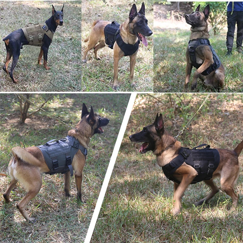 K9 Tactical Military Dog Vest and Leash Set