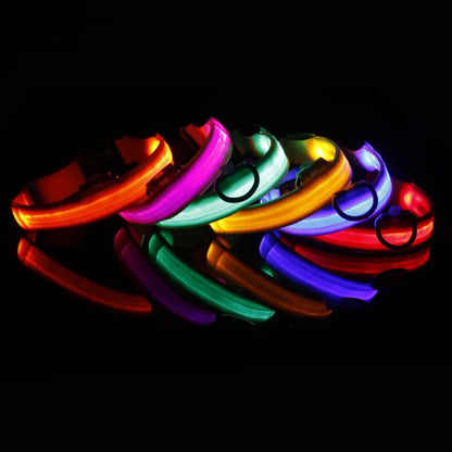 LED Anti-Lost Dog Collar Light – Rechargeable Night Safety Accessory