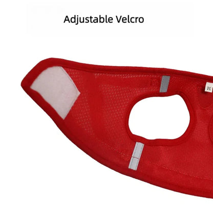 Reflective Escape-Proof Cat & Small Dog Harness Set