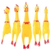 Squeaky Screaming Chicken Dog Chew Toy