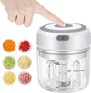 Compact USB Mini Food Chopper & Garlic Masher