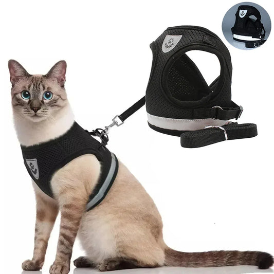 Reflective Escape-Proof Cat & Small Dog Harness Set