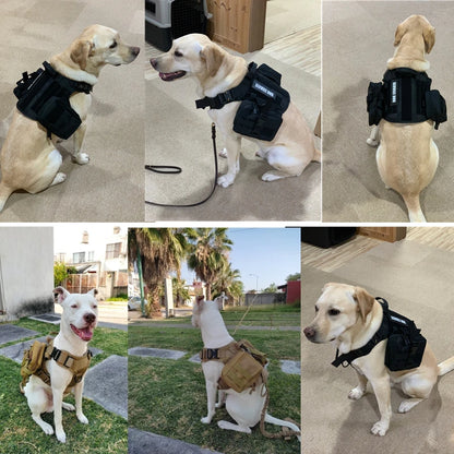 K9 Tactical Military Dog Vest and Leash Set