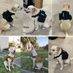 K9 Tactical Military Dog Vest and Leash Set