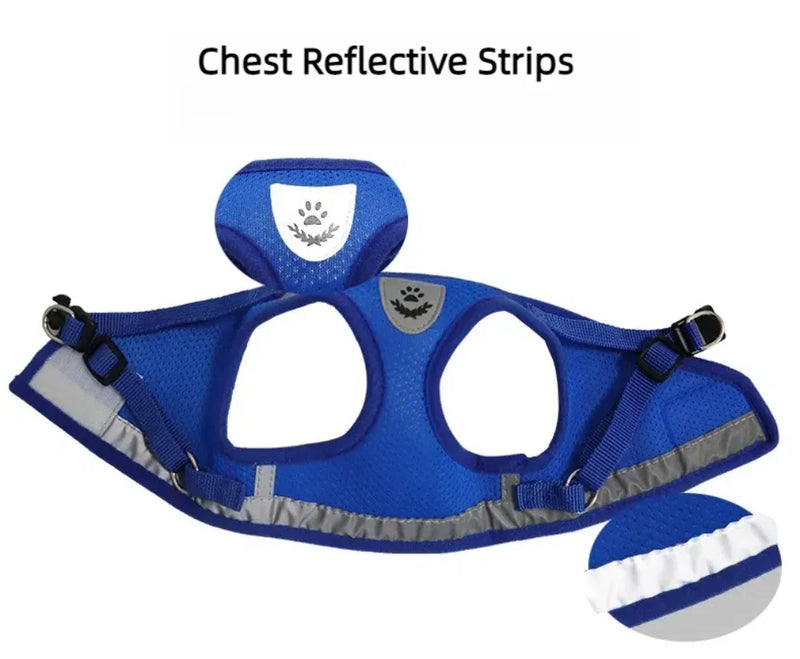 Reflective Escape-Proof Cat & Small Dog Harness Set