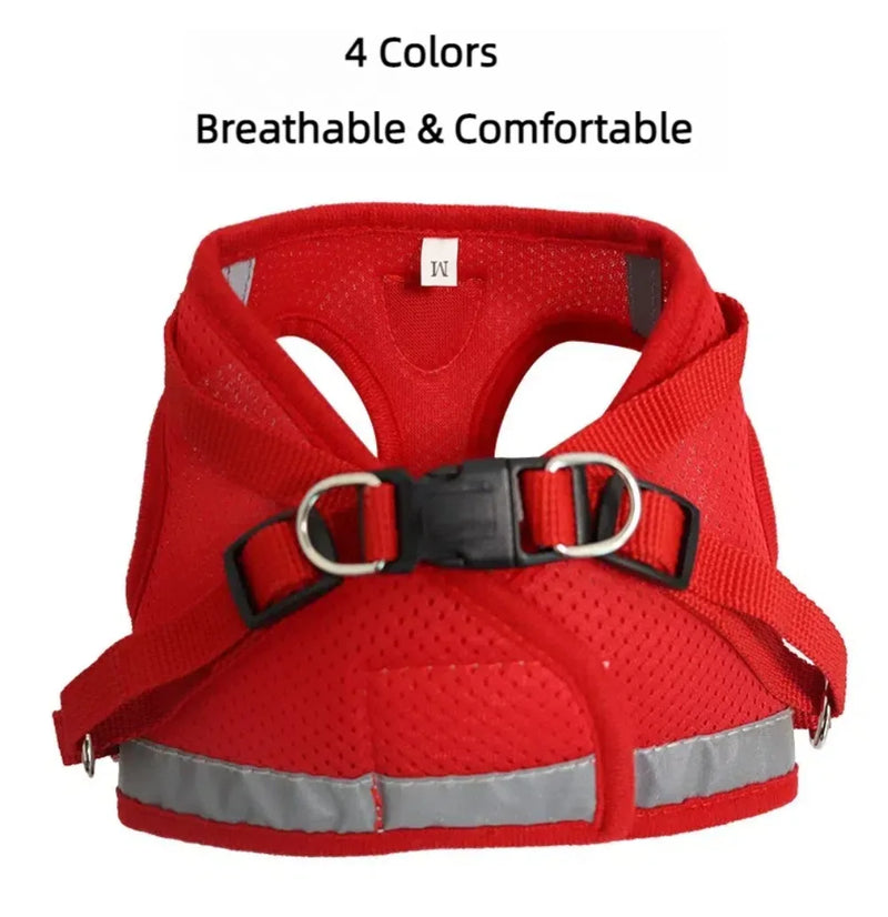 Reflective Escape-Proof Cat & Small Dog Harness Set