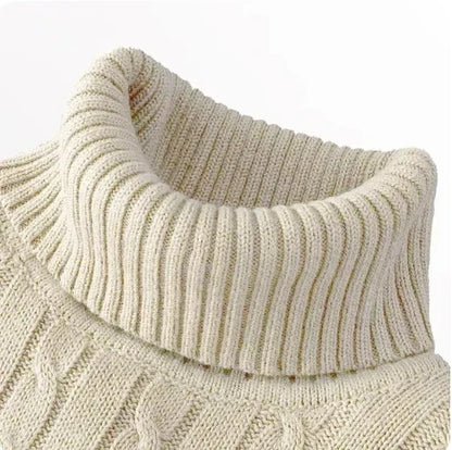 Men's Solid High Neck Knitted Sweater