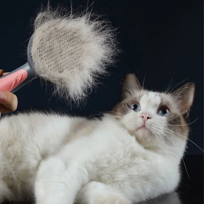 Self-Cleaning Pet Grooming Brush for Dogs & Cats