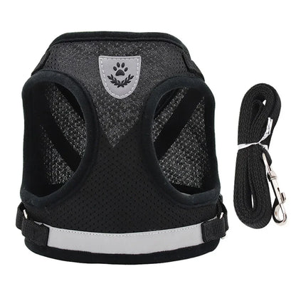 Reflective Escape-Proof Cat & Small Dog Harness Set