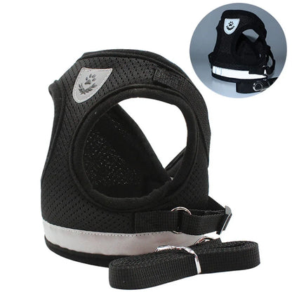 Reflective Escape-Proof Cat & Small Dog Harness Set