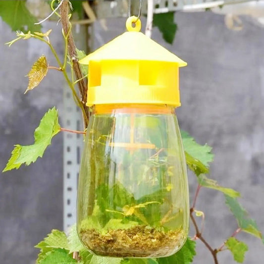 Plastic Fruit Fly Trap Killer for Indoor Outdoor Pest Control
