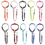 2-in-1 Dog Harness & Leash with Car Seat Belt